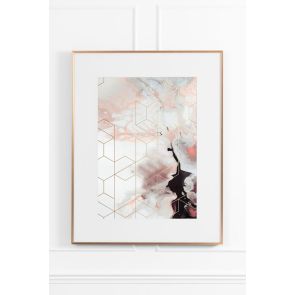 Coral Cosmos No.1 Wall Art - Brass Frame