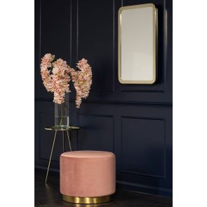 Champagne Standard Wall Mirror