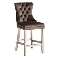 Antoinette Bar Stool Mink