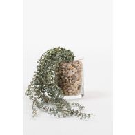 Artificial Eucalyptus Vine