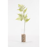 Artificial Large Fern Leaf