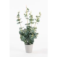 Potted Artificial Eucalyptus Plant