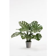 Potted Artificial Cheese Plant