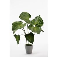 Potted Artificial Elephants Ear Plant